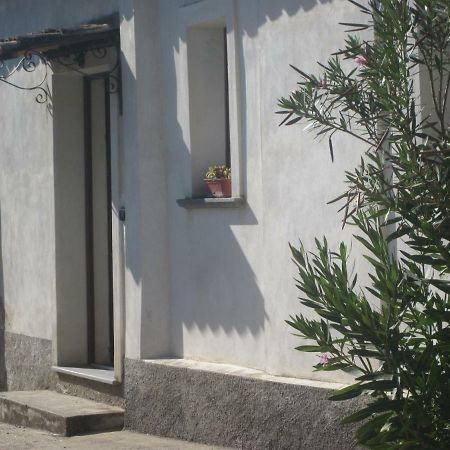 B&B Vaiana Maida Rum bild